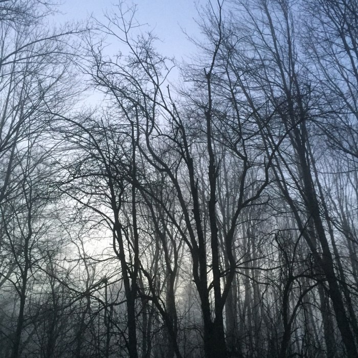 124ECA2E-4AD3-4B26-BC35-062BCFEE6AA1