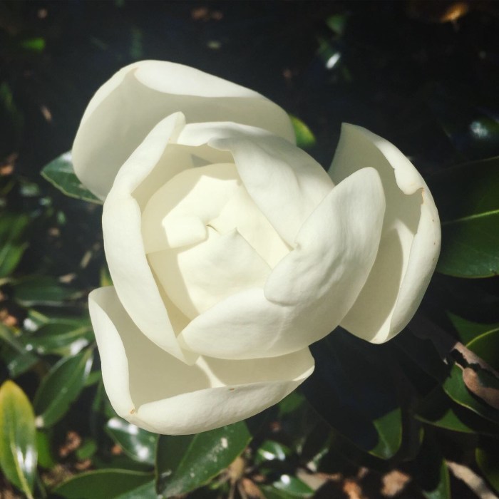 40798B8B-E459-4BD7-885D-EADE485187FC