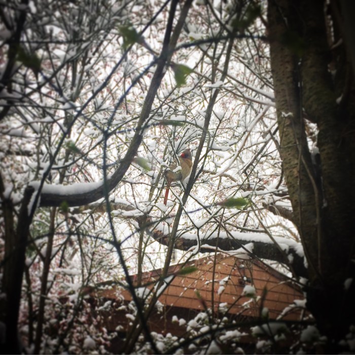 7A0F3D1B-3D63-4077-B2D4-9D66B196B11D